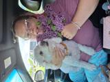 Participant holding lilacs and a plush toy on a spring outing