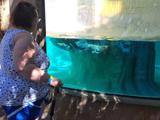 Participant watching fish during an aquarium visit